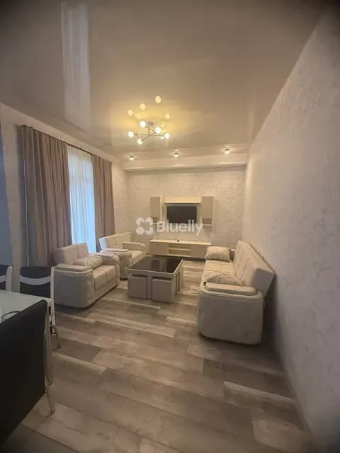 Modern 2-Bedroom Apartment on Zetskhili Street — Brand New Renovation